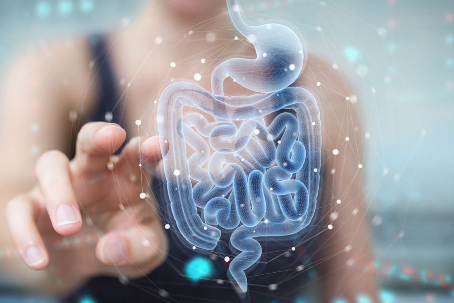 Woman using digital x-ray of human intestine holographic scan projection 3D rendering