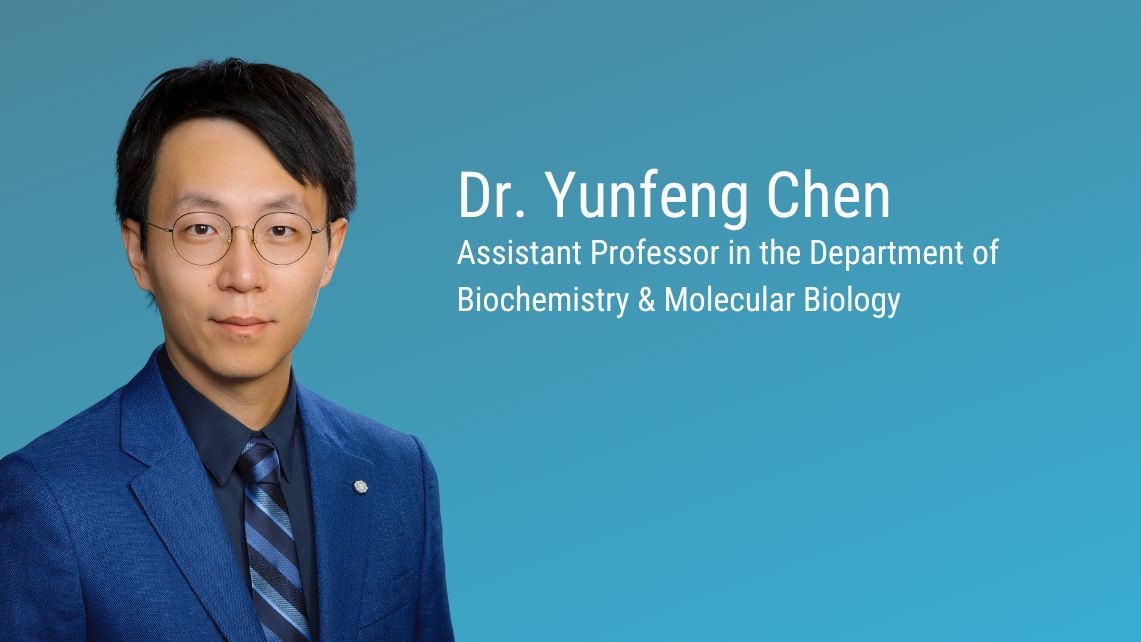 Dr. Yungeng Chen Assistant Professor in the Department of Biochemistry & Molecular Biology