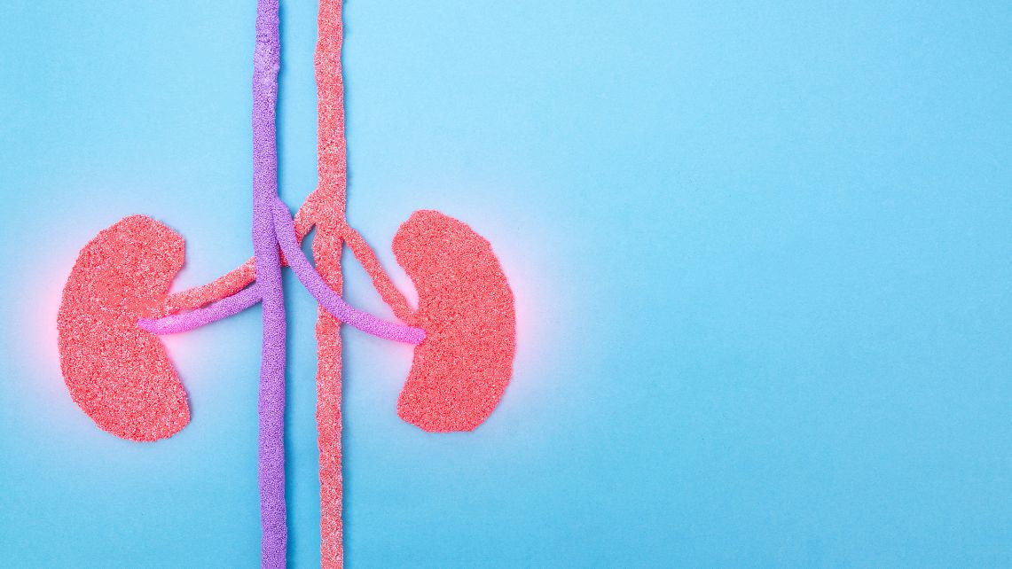 A graphical representation of kidneys against a blue background