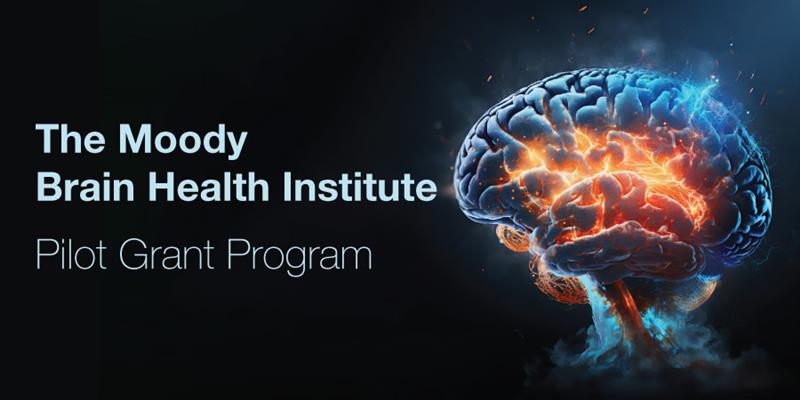 The Moody Brain Health Institute Pilot Grant Program