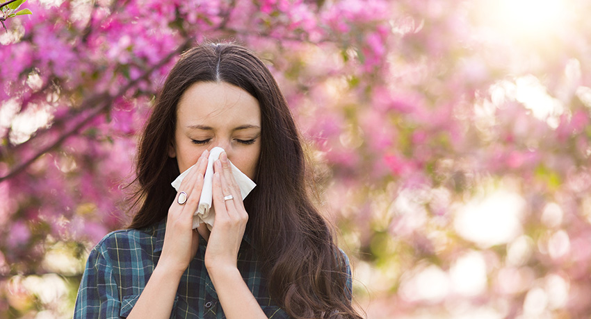 Person standing outdoors among pink flowering trees holds a tissue to their nose, illustrating seasonal allergy symptoms during springtime