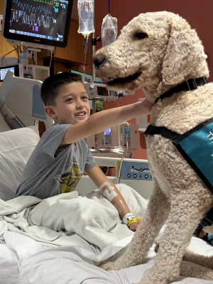  Child patient in a hospital bed reaches out to pet a therapy dog wearing a vest, with an IV line in the arm and a vital signs monitor visible nearby.